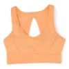 Calvin Klein Peach Solid Sports Bra