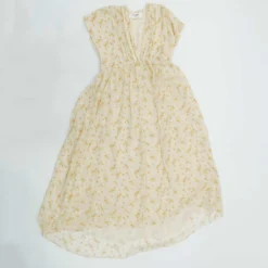 Celine V-Neck Dress In Silk Georgette